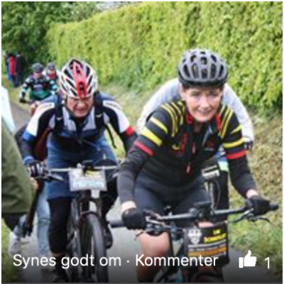 Skærmbillede 2019-05-29 kl. 16.41.57.png